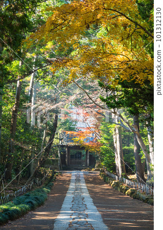 Japan The approach from the main gate to the middle gate of Jufuku-ji Temple in Kamakura City, Kanagawa Prefecture and autumn leaves Japan The approach from the main gate to the middle gate of Jufuku-ji Temple in Kamakura City, Kanagawa Prefecture and autumn leaves 101312130