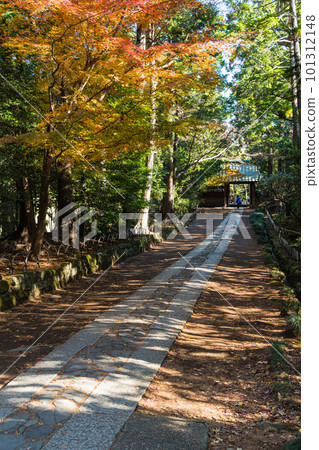Japan The approach from the middle gate to the main gate of Jufukuji Temple in Kamakura City, Kanagawa Prefecture and autumn leaves Japan The approach from the middle gate to the main gate of Jufukuji Temple in Kamakura City, Kanagawa Prefecture and autumn leaves 101312148