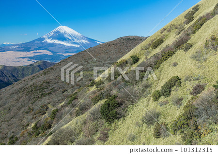 Mount Fuji seen from the Komagatake Ropeway in Hakone-machi, Ashigarashimo-gun, Kanagawa Prefecture, Japan 101312315