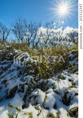 日本神奈川縣足柄下郡箱根町駒岳白雪覆蓋的山頂廣場 101312347