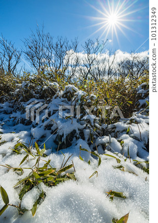 Snow-covered summit square of Mt. Komagatake in Hakone-machi, Ashigarashimo-gun, Kanagawa Prefecture, Japan 101312349