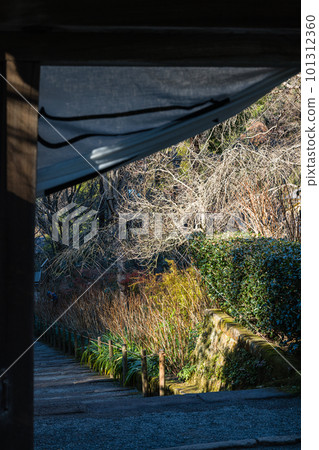 Scenery seen from the temple gate of Meigetsu-in Temple, known for its hydrangea temple in Kamakura City, Kanagawa Prefecture, Japan 101312360