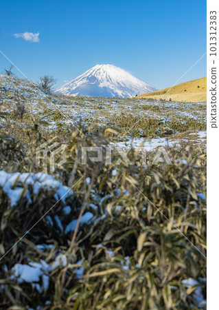 從日本神奈川縣足柄下郡箱根町駒嶽山頂看到的富士山 從日本神奈川縣足柄下郡箱根町駒嶽山頂看到的富士山 101312383