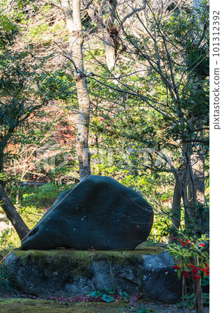 日本神奈川縣鎌倉市鶴岡八幡宮柳原神池須賀裸馬俳句碑 101312392
