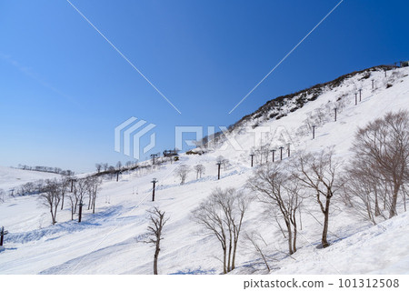 谷川岳天神平滑雪場和早春的雪景 101312508