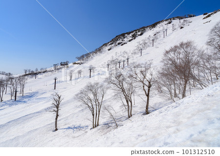谷川岳天神平滑雪場和早春的雪景 101312510
