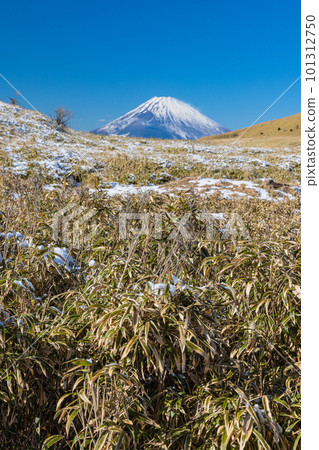 從日本神奈川縣足柄下郡箱根町駒嶽山頂看到的富士山 101312750