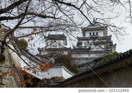 兵庫縣姬路市姬路城 兵庫縣姬路市姬路城 101312940