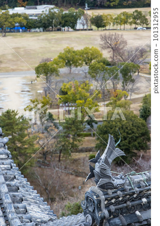 日本兵庫縣姬路市姬路城的 Shachihoko 日本兵庫縣姬路市姬路城的 Shachihoko 101312955