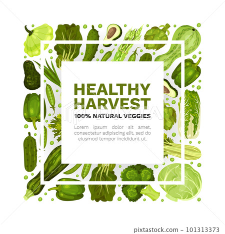 Green Vegetables Banner Design with Fresh Organic Food Vector Template Green Vegetables Banner Design with Fresh Organic Food Vector Template 101313373