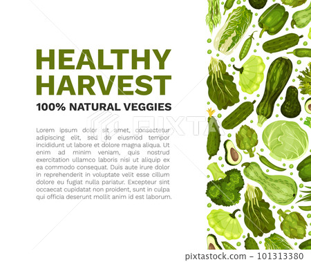 Green Vegetables Banner Design with Fresh Organic Food Vector Template Green Vegetables Banner Design with Fresh Organic Food Vector Template 101313380