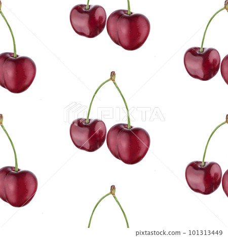 Illustration realism seamless pattern berry burgundy cherry on a white isolated background Illustration realism seamless pattern berry burgundy cherry on a white isolated background 101313449