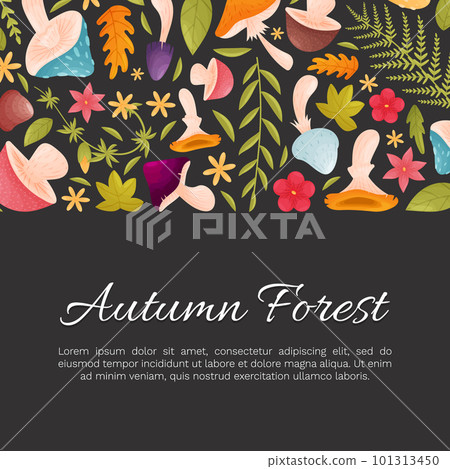 Forest Decor Banner Design with Mushroom and Leaf Vector Template Forest Decor Banner Design with Mushroom and Leaf Vector Template 101313450