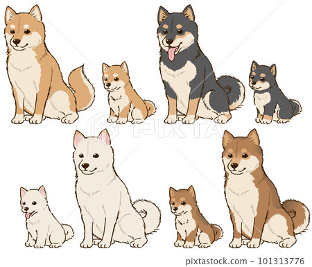 各種髮色的柴犬親子 101313776