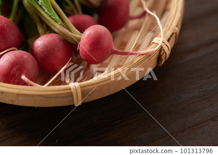 新鮮的蘿蔔 101313796