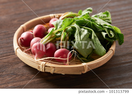 Fresh radish 101313799