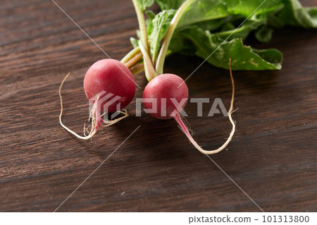 Fresh radish 101313800