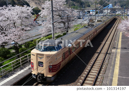 381 series JNR marked JNR-colored limited express Yakumo that passes through Kinoyama Station with cherry blossoms 101314197
