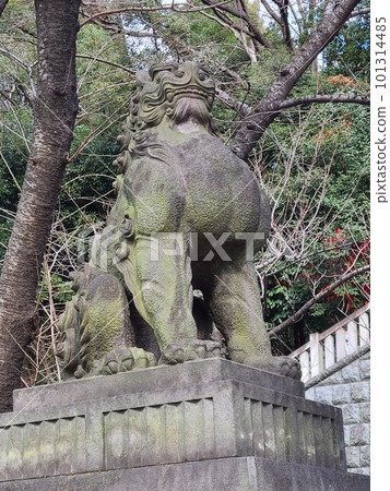 山王鳥居守護犬 山王鳥居守護犬 101314485