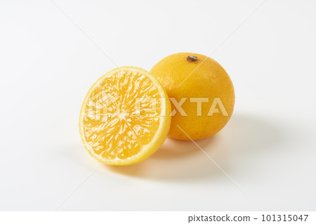 柑桔湘南金白底 101315047