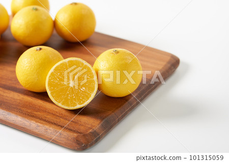 Citrus Shonan gold white background Citrus Shonan gold white background 101315059