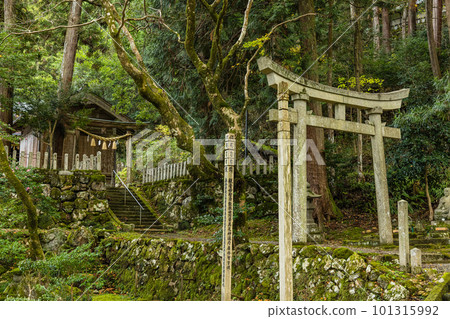 日本福井縣三方上中郡若狹町若狹Uriwari Meisui公園內的岩上神社 101315992