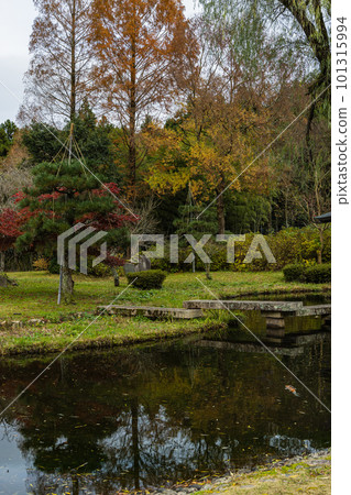 日本福井縣三方上中郡若狹町若狹 Uriwari Meisui 公園的池塘和秋季樹木 101315994