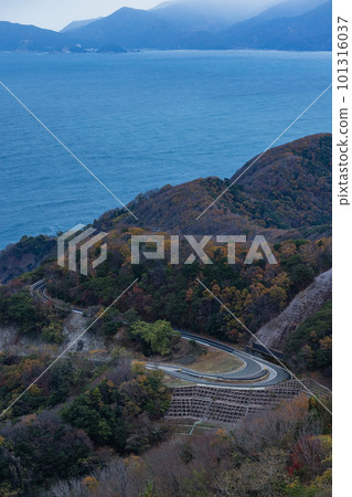 The Sea of Japan seen from the Wakasa Terrace at Mikatagoko Rainbow Line Summit Park in Wakasa-cho, Mikatakaminaka-gun, Fukui Prefecture, Japan 101316037