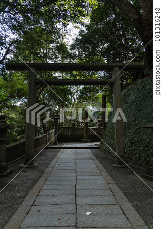 Torii on the approach to Kotohiragu Shrine in Kotohira-cho, Nakatado-gun, Kagawa Prefecture, Japan 101316248