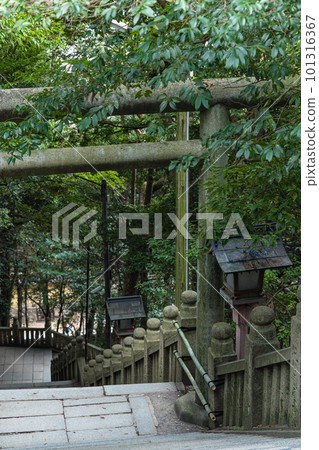日本香川縣中多戶郡琴平町琴比羅宮從三穗津姬神社下山的鳥居 101316367