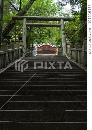 從日本香川縣中多戶郡琴平町琴平神社下向道仰望的鳥居和三穗津姬神社 101316383