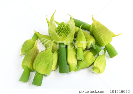 薄皮蔥花蝴蝶結 薄皮蔥花蝴蝶結 101316653