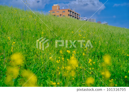 Spring blue sky and bank Spring blue sky and bank 101316705