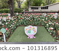 park with tulips 101316895