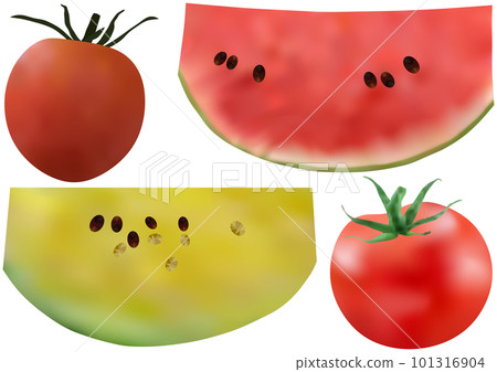 4 kinds of summer fruits "red watermelon" "yellow watermelon" "mini tomato" "tomato" 101316904