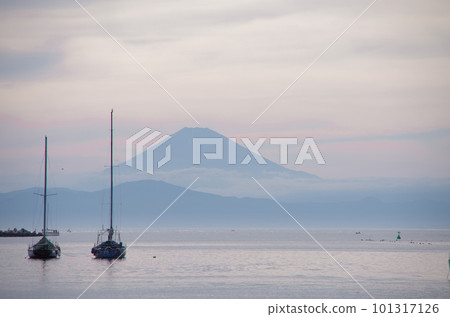 Pink sunset Mt.Fuji over Sagami Bay Pink sunset Mt.Fuji over Sagami Bay 101317126