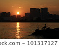 夕陽下休息的水鳥 101317127