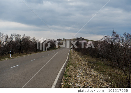 Road in Garedja desert Road in Garedja desert 101317966