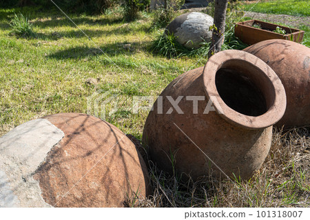 Spring farm yard 101318007