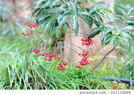 Many facts 101318066