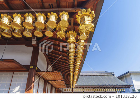 Toji，Saiin，Dainichido，一排排掛著的燈籠 101318126