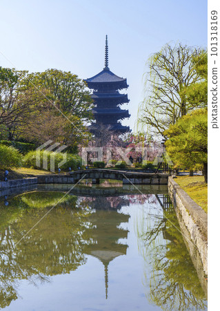 Toji Baien no Ume 五層塔倒影(京都府京都市南區) Toji Baien no Ume 五層塔倒影(京都府京都市南區) 101318169