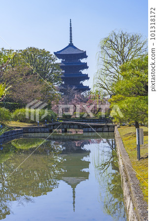 Toji Baien no Ume Five-storied Pagoda Reflection (Minami Ward, Kyoto City, Kyoto Prefecture) 101318172