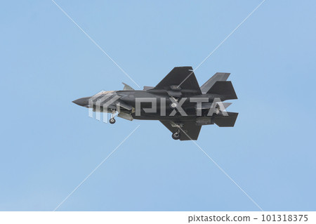 英國皇家空軍 F-35B 閃電 II 著陸姿勢 101318375