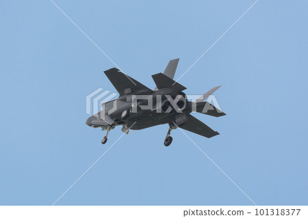 英國皇家空軍 F-35B 閃電 II 著陸姿勢 101318377