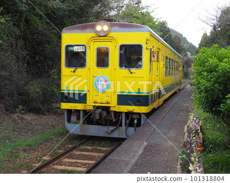 到達伊隅鐵道久我原站的電車 到達伊隅鐵道久我原站的電車 101318804
