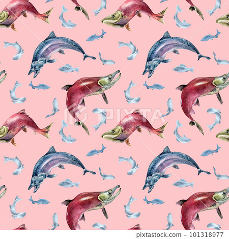 Seamless pattern of salmon, coho, chum watercolor illustration isolated on pink. 101318977