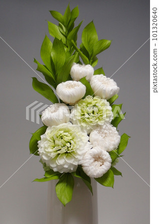 Buddha flower preserved flower 101320640