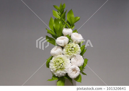 Buddha flower preserved flower Buddha flower preserved flower 101320641
