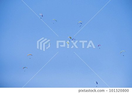 Paragliding Paragliding 101320800